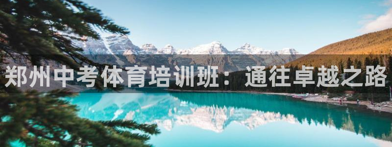 焦点娱乐加速器下载：郑州中考体育培训班：通往卓越之路