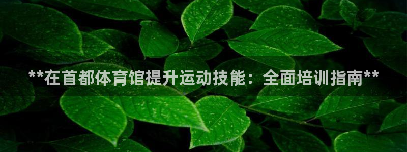 焦点娱乐app下载官网最新版：**在首都体育馆提升运
