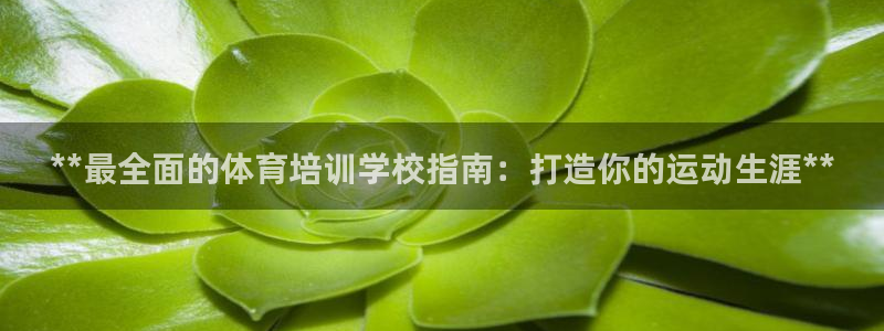 焦点娱乐传媒有限公司是干嘛的：**最全面的体育培训学