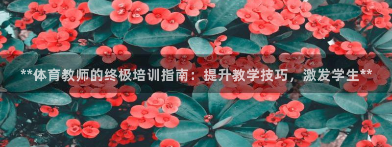 焦点娱乐：**体育教师的终极培训指南：提升教学技巧，
