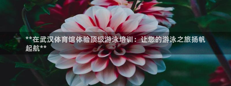 焦点娱乐平台客服电话号码是多少：**在武汉体育馆体验