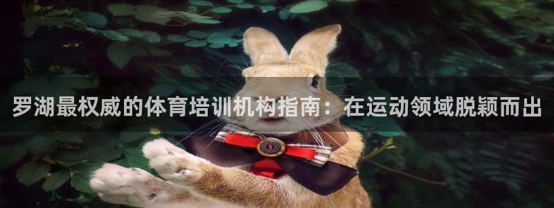 焦点娱乐平台注册账号安全吗知乎：罗湖最权威的体育培训