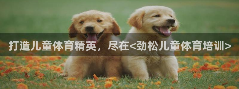焦点娱乐传媒有限公司怎么样：打造儿童体育精英，尽在<