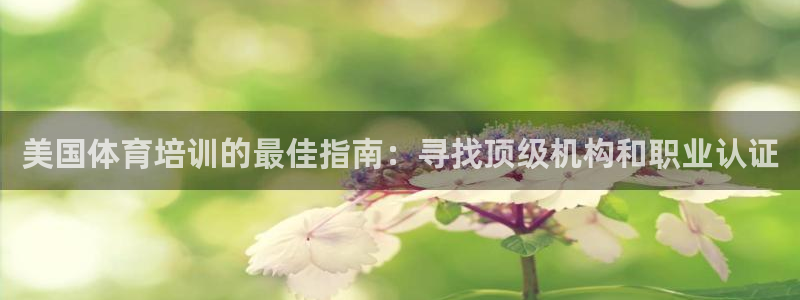 焦点娱乐全国总冠军是谁：美国体育培训的最佳指南：寻找