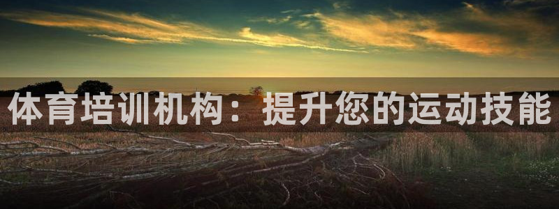 焦点娱乐官网首页入口网址：体育培训机构：提升您的运动