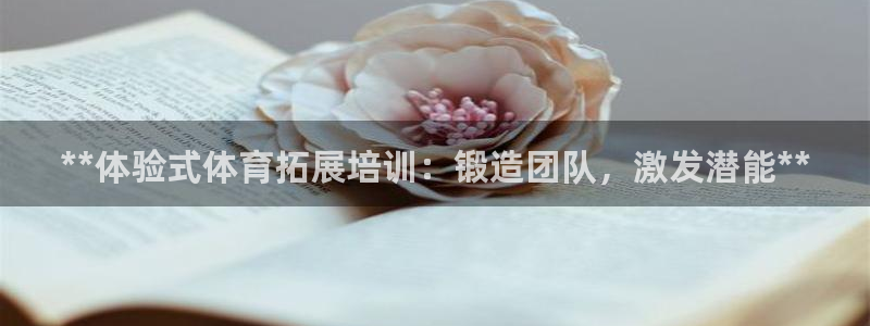 焦点娱乐公司是干嘛的：**体验式体育拓展培训：锻造团