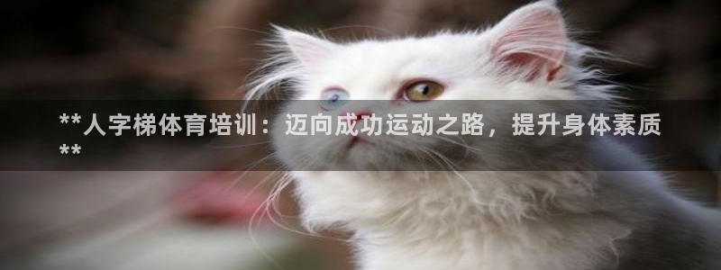 焦点娱乐是黑平台吗知乎：**人字梯体育培训：迈向成功