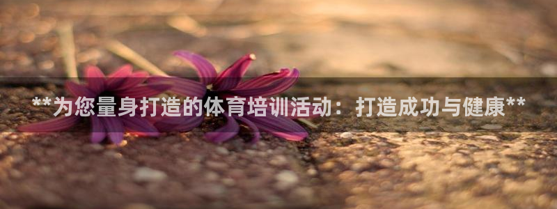 焦点娱乐公司简介：**为您量身打造的体育培训活动：打