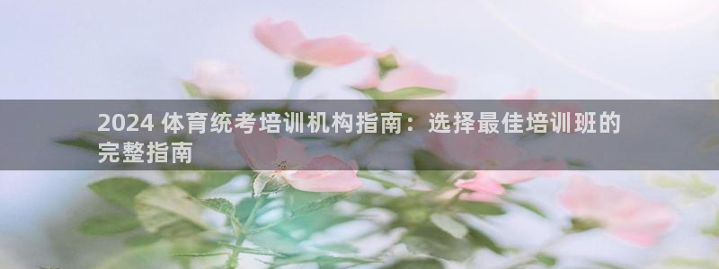 焦点娱乐公司简介图片：2024 体育统考培训机构指南