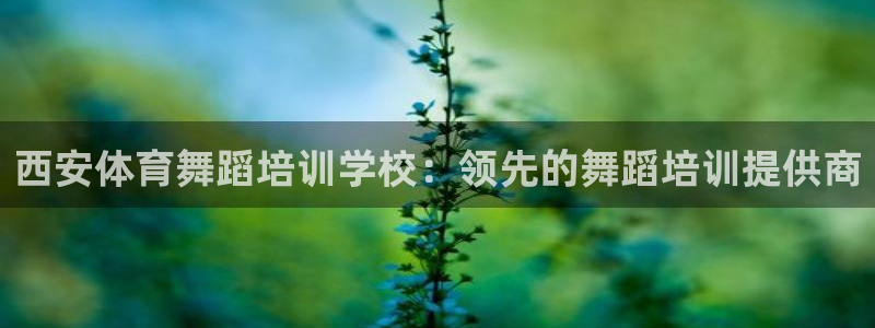 焦点娱乐App下载：西安体育舞蹈培训学校：领先的舞蹈
