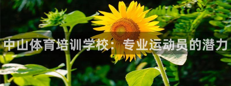 焦点娱乐直属：中山体育培训学校：专业运动员的潜力