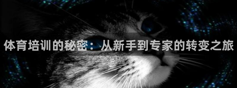焦点娱乐官方网站下载安装手机版：体育培训的秘密：从新