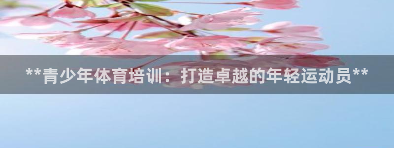 焦点娱乐官方网站入口下载：**青少年体育培训：打造卓
