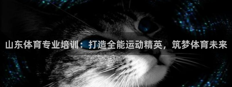 焦点娱乐佳 411O31 焦点：山东体育专业培训：打