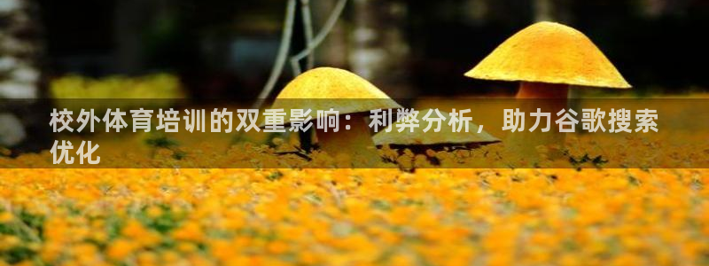 焦点娱乐待遇：校外体育培训的双重影响：利弊分析，助力