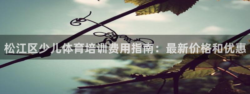 焦点娱乐平台登录不了了：松江区少儿体育培训费用指南：