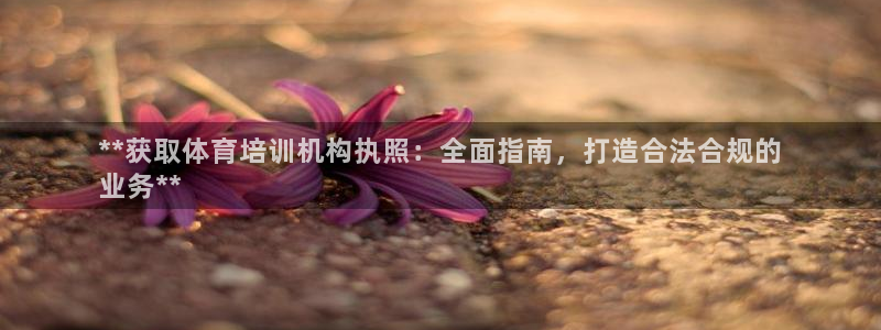 焦点娱乐会所：**获取体育培训机构执照：全面指南，打