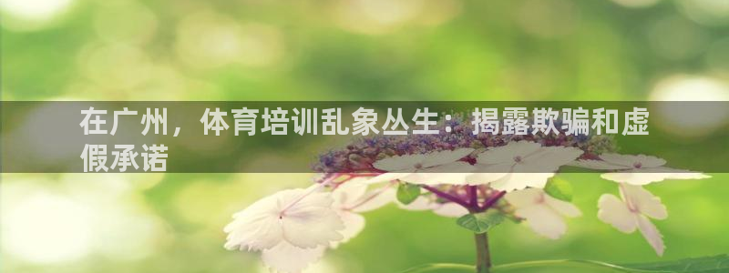 焦点娱乐官方网站入口下载：在广州，体育培训乱象丛生：