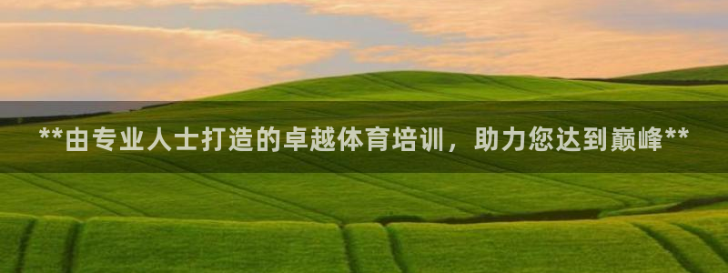 焦点娱乐软件版本大全：**由专业人士打造的卓越体育培