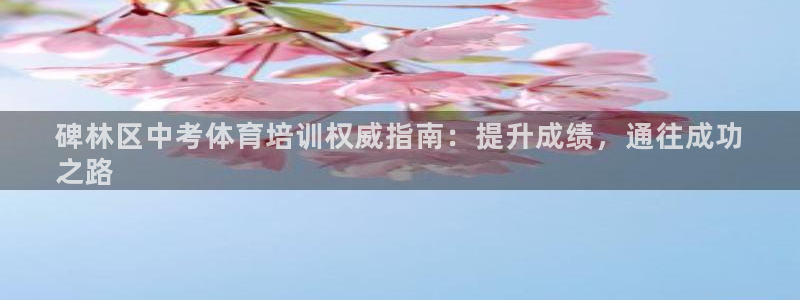 焦点娱乐平台供7O777：碑林区中考体育培训权威指南
