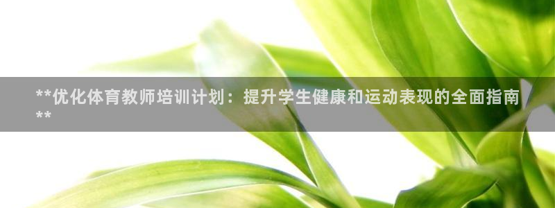 焦点娱乐是哪个公司的产品：**优化体育教师培训计划：