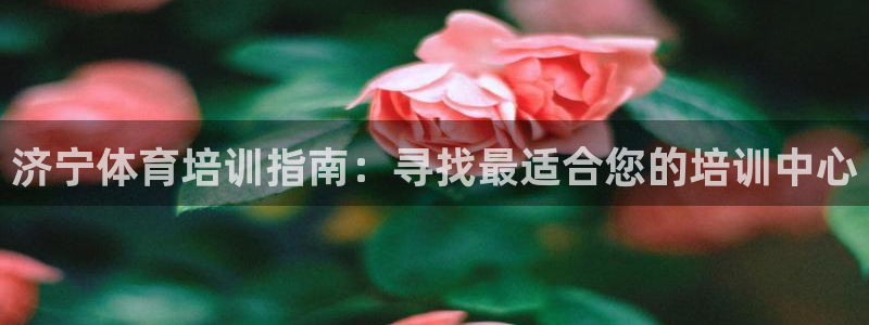 焦点娱乐全国总冠军有哪些：济宁体育培训指南：寻找最适合您的培