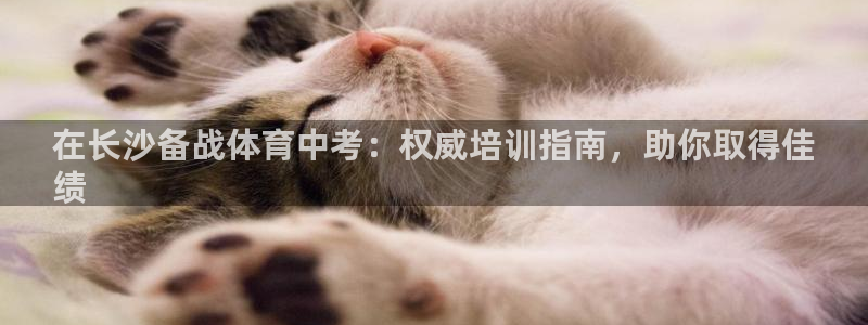 焦点娱乐平台登录不了：在长沙备战体育中考：权威培训指南，助你