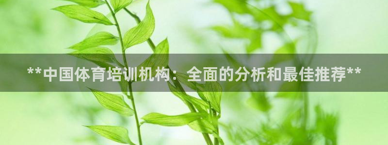 焦点娱乐传媒有限公司是干嘛的啊：**中国体育培训机构