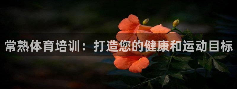 焦点娱乐软件版本区别：常熟体育培训：打造您的健康和运