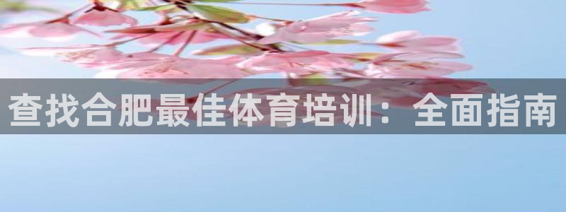 焦点娱乐平台登录不了怎么办：查找合肥最佳体育培训：全