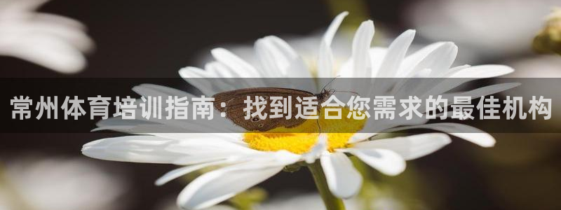 焦点娱乐平台主管：常州体育培训指南：找到适合您需求的