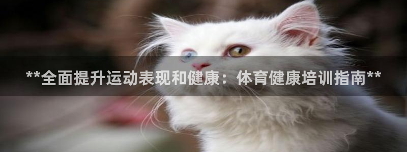 焦点娱乐传媒有限公司怎么样啊赚钱吗：**全面提升运动