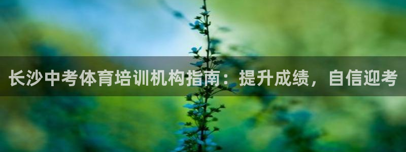焦点娱乐游戏攻略大全：长沙中考体育培训机构指南：提升成绩，自