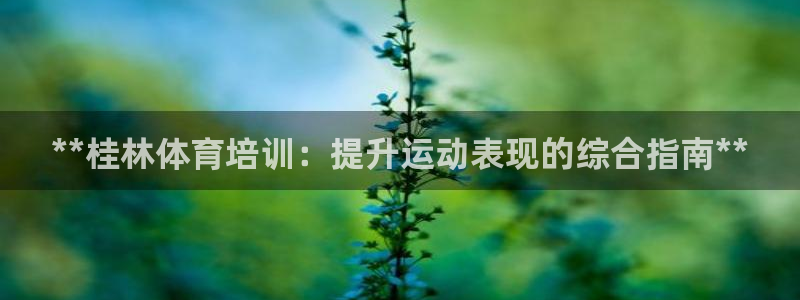 焦点娱乐官网下载：**桂林体育培训：提升运动表现的综