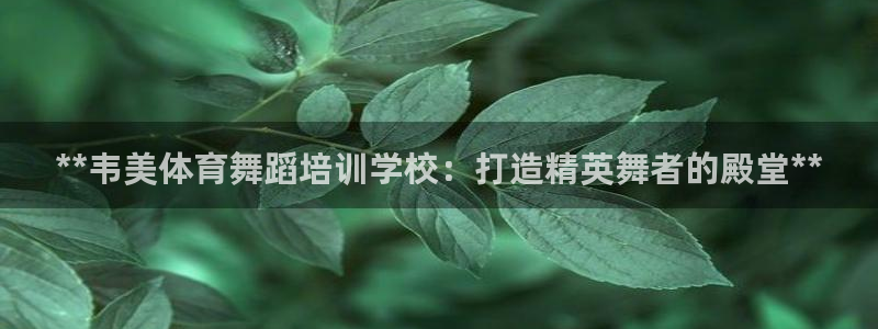 焦点娱乐公司的发展历程简述