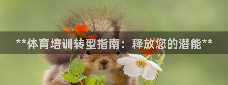 焦点娱乐传媒有限公司是干嘛的啊：**体育培训转型指南