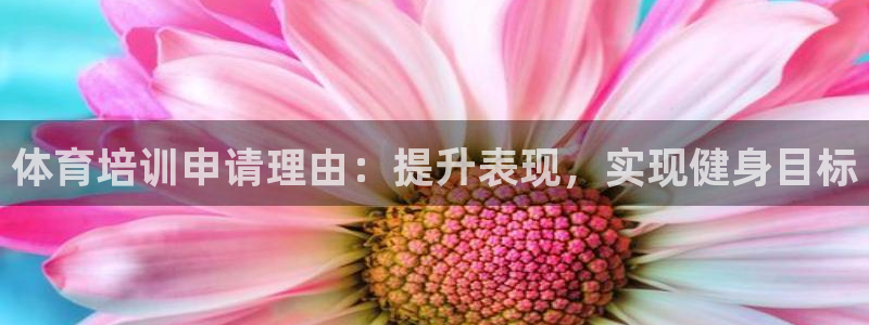 焦点娱乐官网首页入口下载：体育培训申请理由：提升表现，实现健