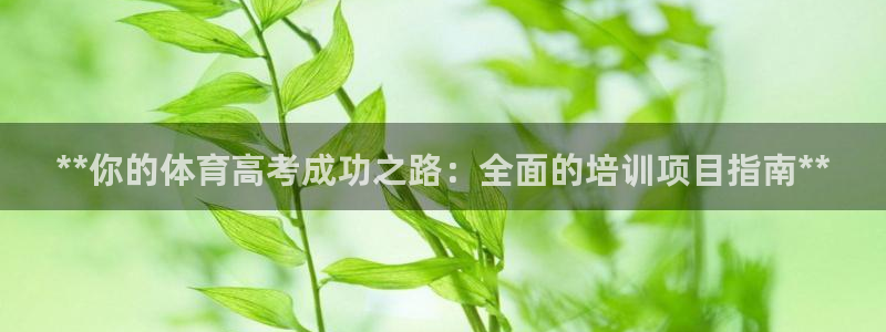 焦点娱乐平台候7O777：**你的体育高考成功之路：