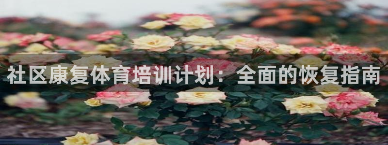 焦点娱乐平台最高待遇：社区康复体育培训计划：全面的恢
