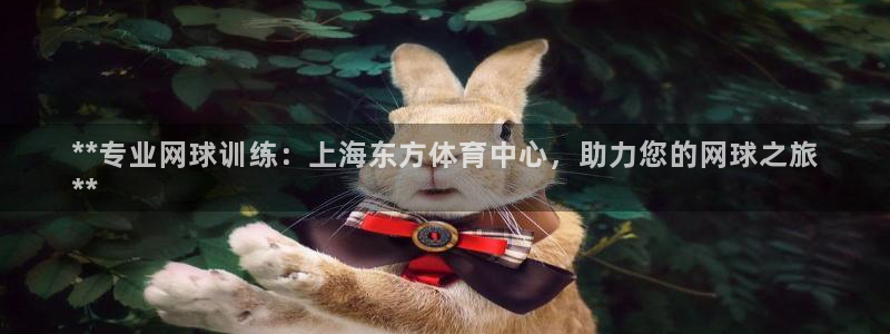 焦点娱乐app下载安装方式：**专业网球训练：上海东