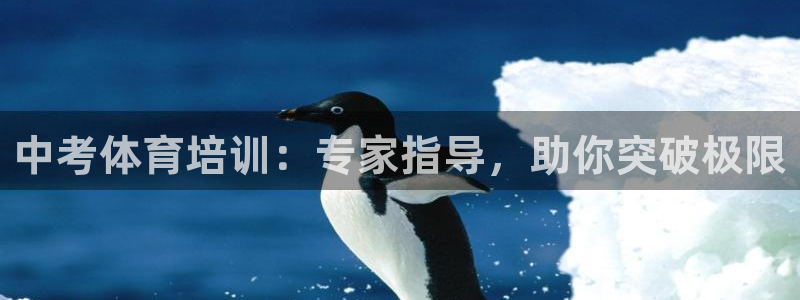 焦点娱乐官网下载安装苹果：中考体育培训：专家指导，助