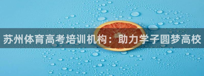 焦点娱乐官网下载安装手机版最新：苏州体育高考培训机构