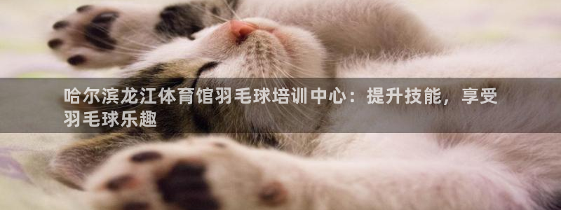 焦点娱乐财神：哈尔滨龙江体育馆羽毛球培训中心：提升技