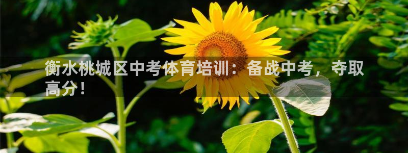 焦点娱乐官方网站入口在线观看：衡水桃城区中考体育培训