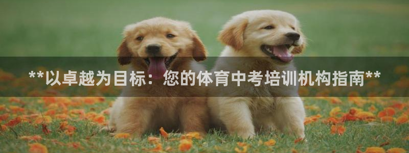 焦点娱乐传媒有限公司招聘要求：**以卓越为目标：您的体育中考