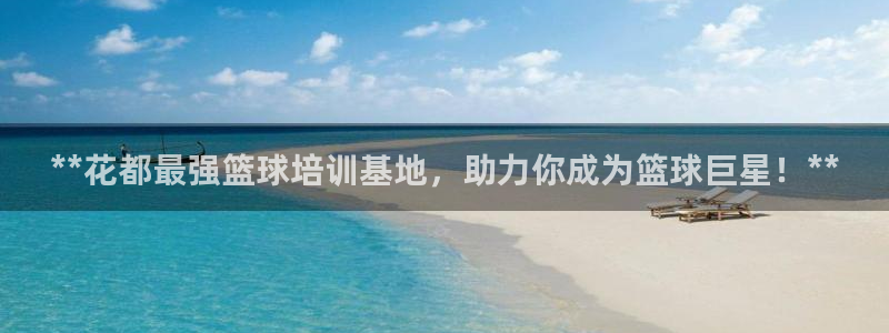焦点娱乐软件版本：**花都最强篮球培训基地，助力你成为篮球巨