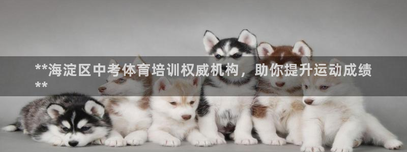 焦点娱乐怎么找：**海淀区中考体育培训权威机构，助你