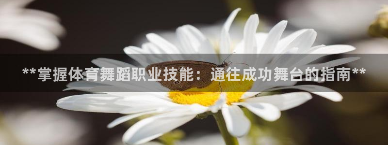 焦点娱乐说说：**掌握体育舞蹈职业技能：通往成功舞台