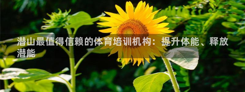 焦点娱乐官网下载安装最新版：潜山最值得信赖的体育培训