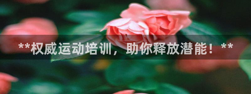 焦点娱乐平台